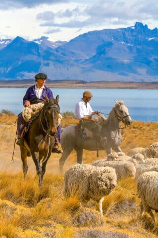 Gauchos herd sheep near Lake Argentino on the Patagonian grasslands near El Calafate Argentina. Image shot 02/2008. Exact date unknown.