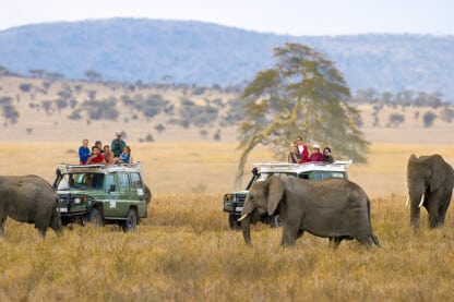 africa safari tanzania
