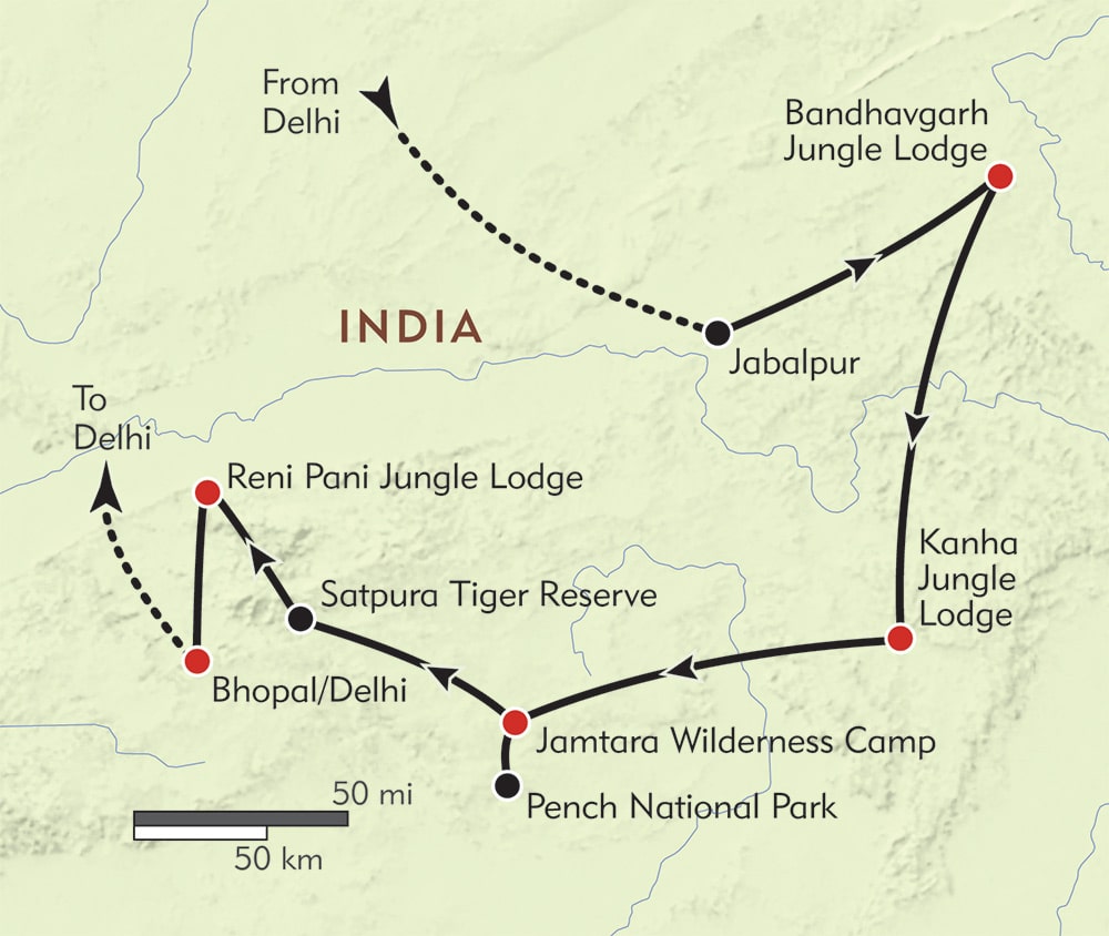 Central India Tiger Safari  Kanha & Pench Wildlife Tour