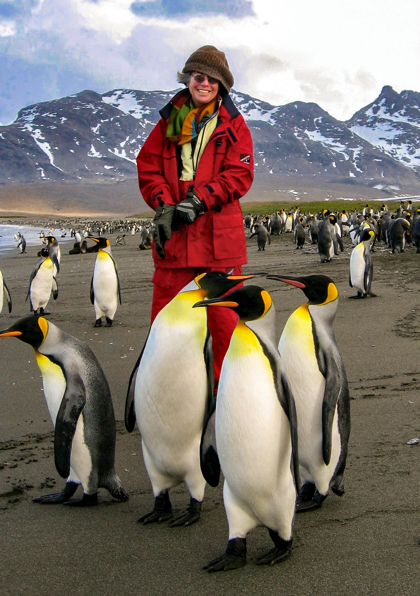 Woman in red jacket next to king penguin colony in Antarctica