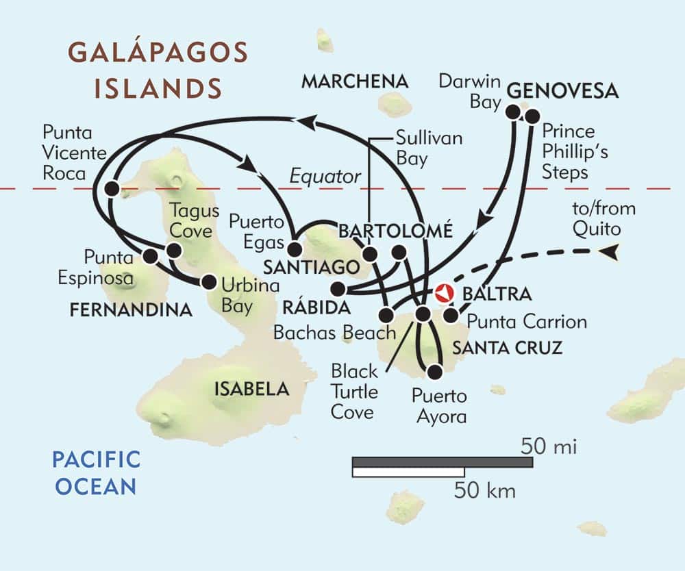 galapagos cruise coral