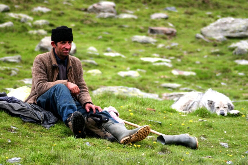 A man sitting in a grassy field with rubber boots, a walking stick, and a black hat revels in the tranquility; nearby, his white dog rests peacefully. Such serene scenes remind us of random acts of Romanian kindness.