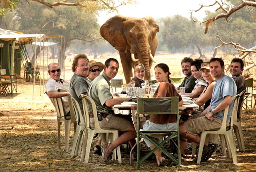 A group of people sitting around an outdoor dining table with a large elephant standing in the background, one of the top travel destinations.
