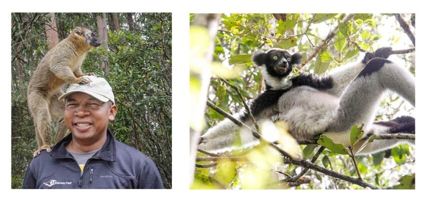 On the left, a person smiling with a lemur on their head. On the right, a lemur lounging on tree branches. Both images are set in a lush forested area of Madagascar, an island lost in time.
