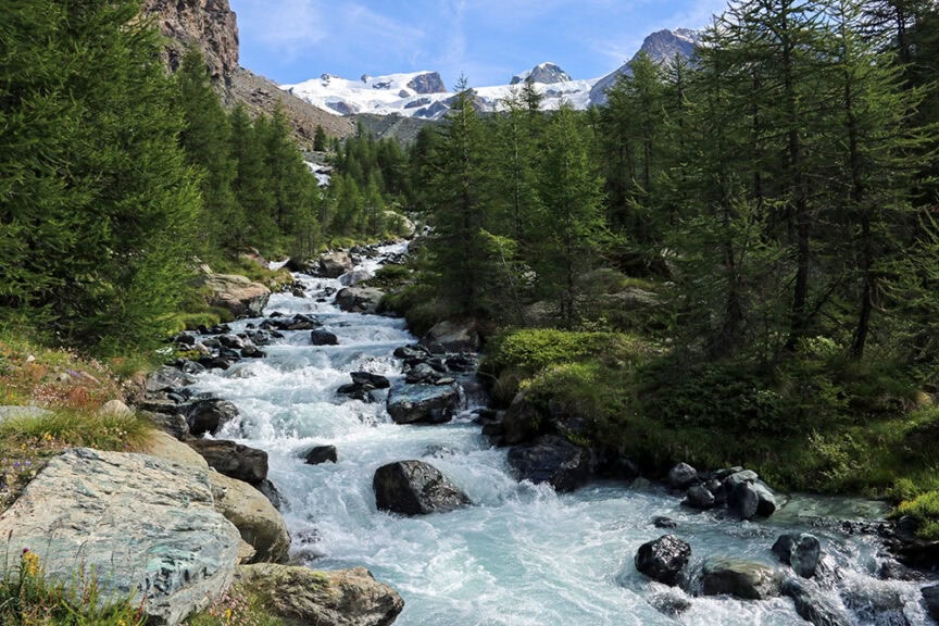 A mountain stream flows through a forested area with rocky terrain, leading toward the snow-capped peaks of Italy's Val d'Aosta, a perfect paradise for hiking enthusiasts.