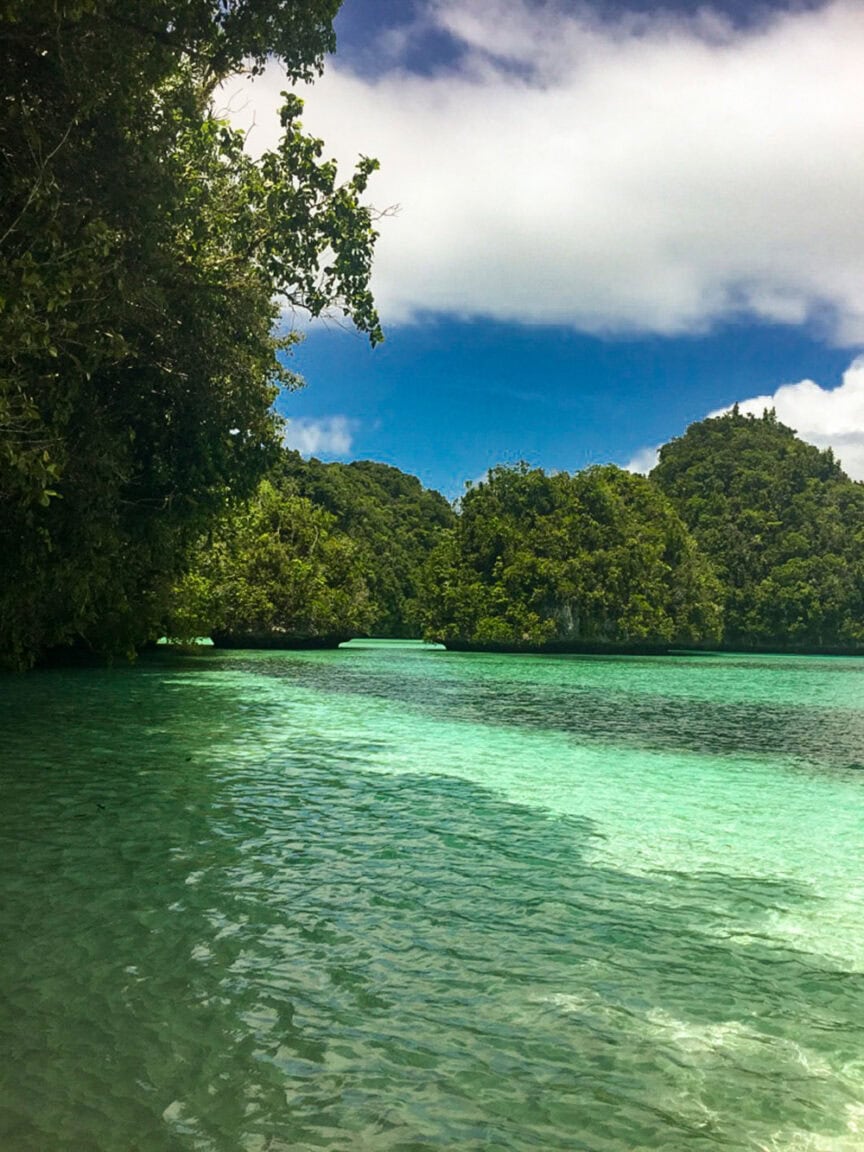 A clear turquoise water body with lush green islets under a partly cloudy sky, reminiscent of the Rock Islands in Palau. The water reflects the vibrant surrounding foliage, creating an underwater Serengeti.