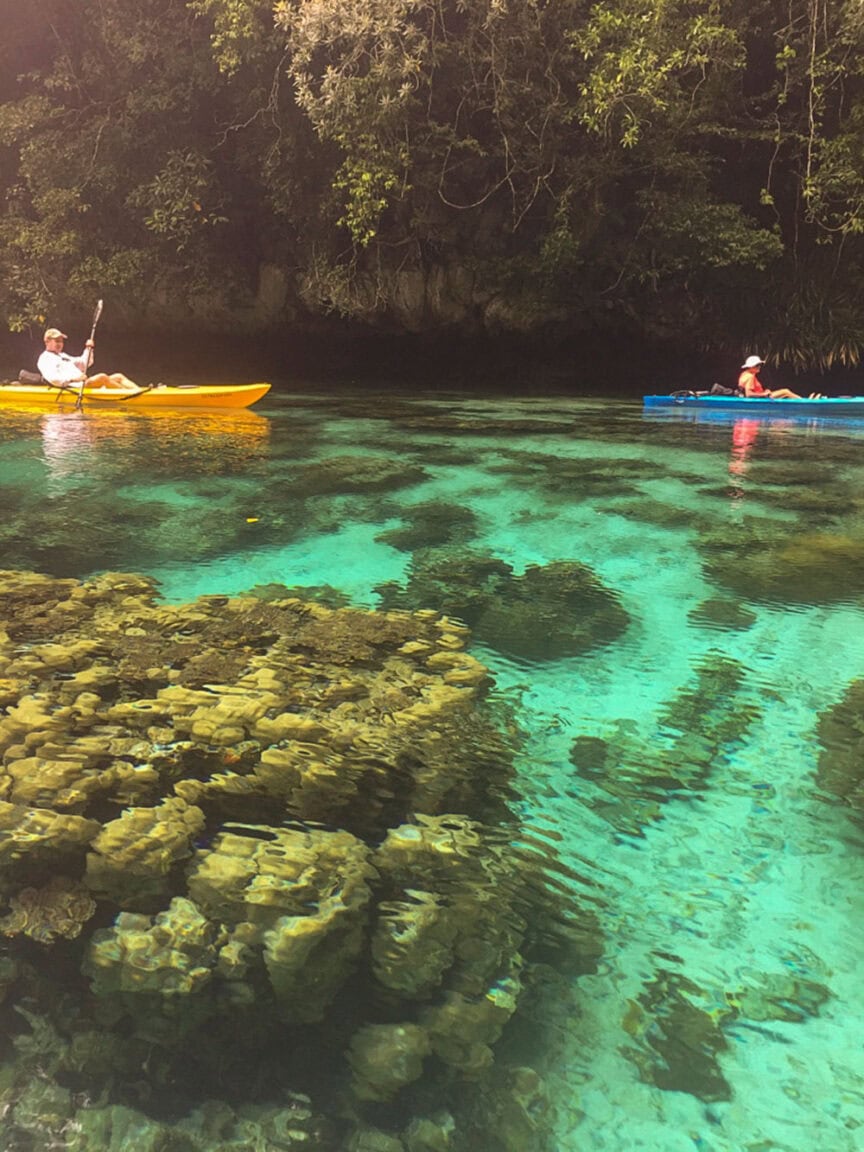 Two people kayaking on clear turquoise water near a coral reef with overhanging dense foliage in the background, reminiscent of Palau's Rock Islands, often dubbed the 'Underwater Serengeti' for its spectacular marine life.