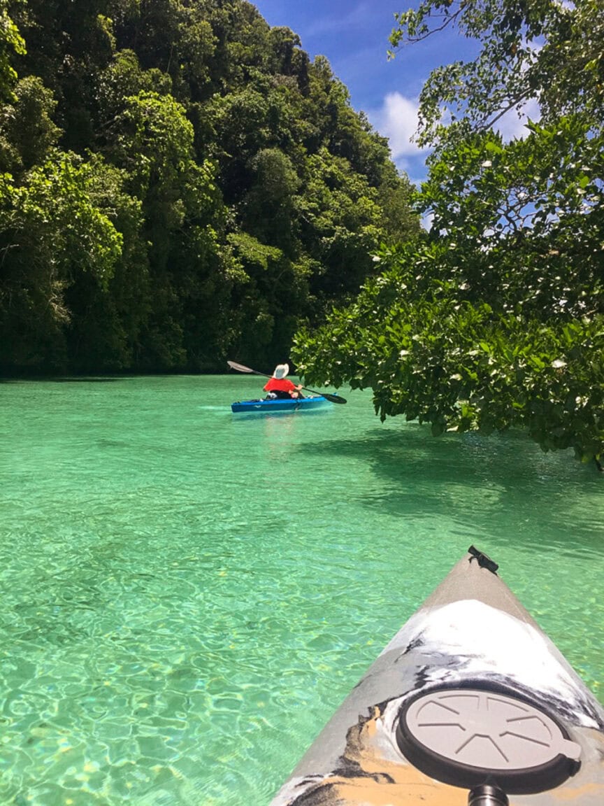 A person in a red life jacket paddles a blue kayak through the clear turquoise waters of Palau's Rock Islands, surrounded by dense green foliage. The image, reminiscent of an underwater Serengeti, is taken from another kayak.