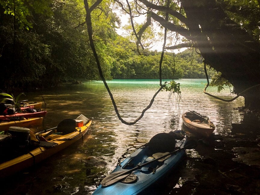 Three kayaks docked under overhanging tree branches on a shaded, calm lake; sunlight filters through the trees onto the water's surface, creating an atmosphere reminiscent of Palau's Rock Islands in the famed Underwater Serengeti.