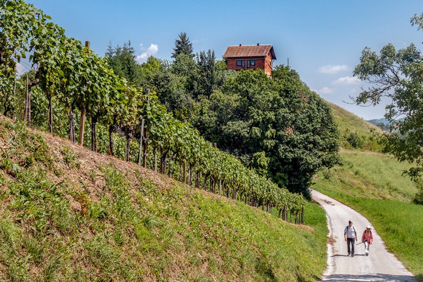 Two people embark on a hiking adventure along a winding path beside a vineyard on a sunny day, with a wooden house perched on the wild and rugged hillside in the background.