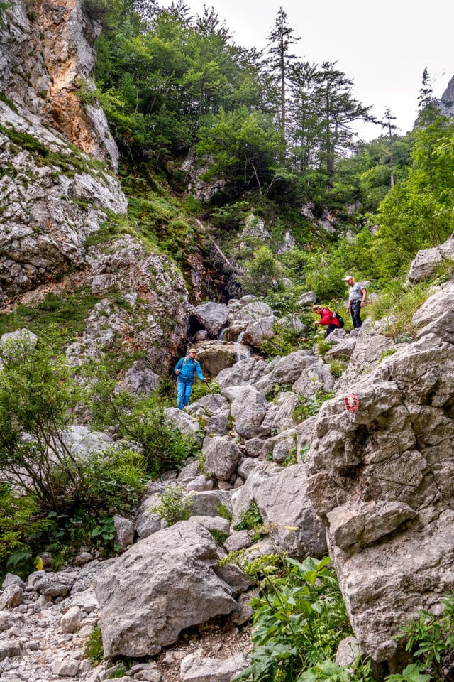 People embark on a wild and rugged hiking adventure on a rocky trail in Slovenia's mountainous area, surrounded by dense greenery and trees in the background.