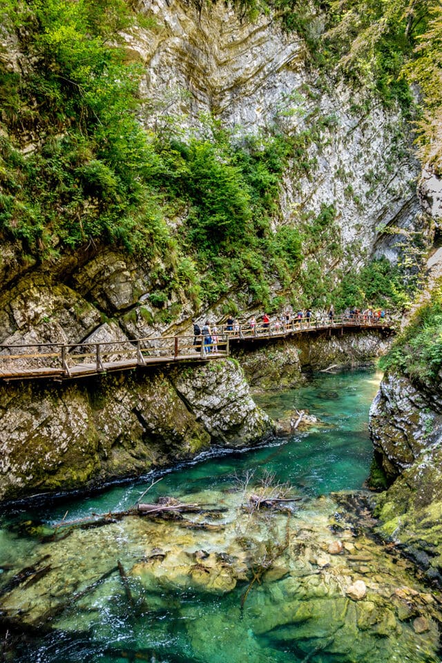 A wooden footbridge curves along the rocky walls of a lush, green canyon in Slovenia with clear turquoise water flowing below. People are walking and taking photos on the bridge, soaking in the wild and rugged hiking adventure.