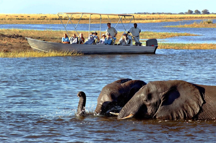 A group of people on a boat observe two elephants wading in shallow water, effortlessly keeping cool on a hot day.