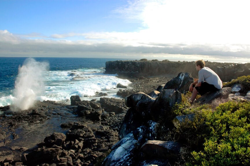 A person sits on a rocky cliff overlooking a coastal landscape with waves crashing on the shore and a spout of water from a blowhole nearby, reminiscent of the dramatic scenery found in the Galápagos Islands. Fun fact: blowholes are natural features created by sea erosion along coastal cliffs.