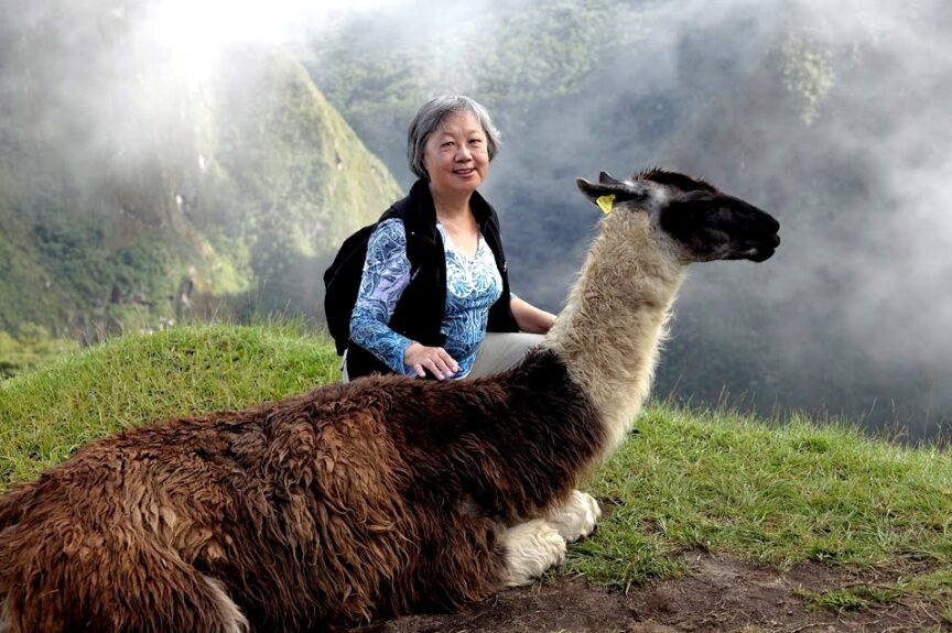 A woman sits on the grass next to a llama, following the leader amidst mountainous terrain and clouds in the background.