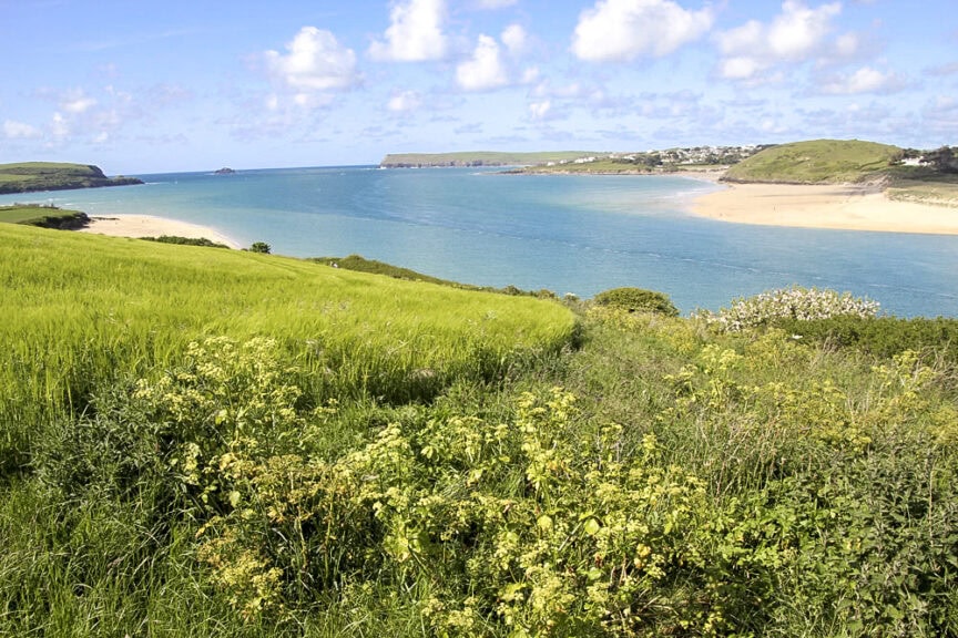 A lush green field with wildflowers overlooks a wide river estuary leading to the sea, under a bright blue sky with scattered clouds. Nearby, charming villages dot the landscape, connected by trails that weave through the picturesque setting in England.
