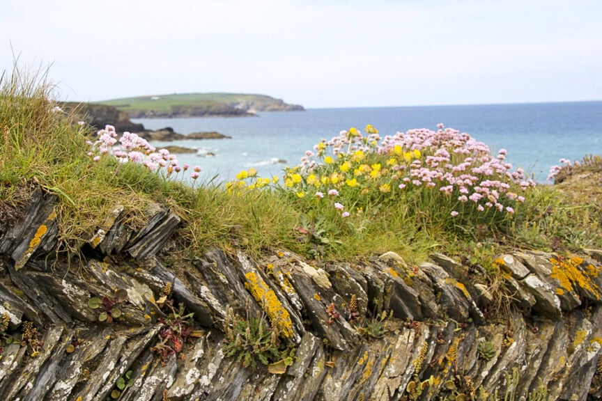 A coastal scene with a rocky outcrop covered in grass and colorful flowers, overlooking a blue sea and a distant shoreline under a partly cloudy sky, evokes the picturesque charm of England's seaside trails near its charming villages.