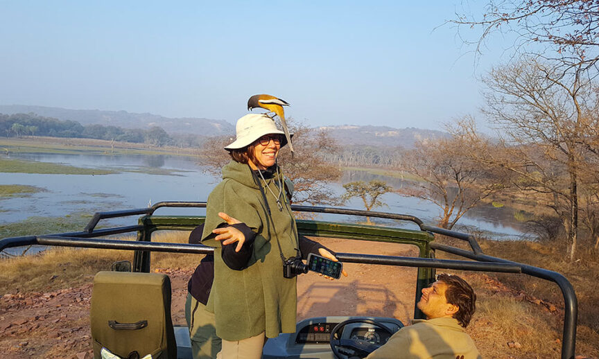 A woman stands in an open jeep, wearing a hat with a bird perched on it. She holds a camera while a man sits nearby, both surrounded by the wonders of Rajasthan's landscape with a body of water in the background.