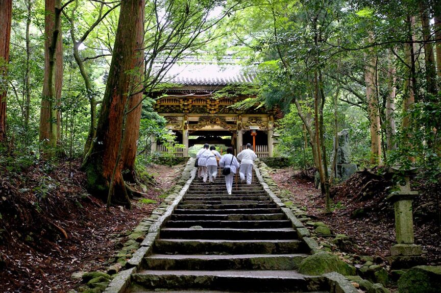 A group of people dressed in white clothing walk up stone steps surrounded by tall trees leading to a traditional building in a forest setting, reminiscent of adventurous hiking trips.