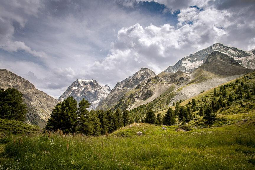 A scenic view of a mountainous landscape featuring snow-capped peaks under a partly cloudy sky, lush green trees, and a grass-covered terrain in the foreground, reminiscent of the breathtaking Haute Route between Switzerland and France.