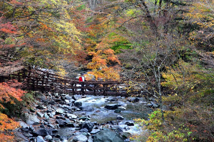 Two people stand on a rustic wooden bridge over a rocky stream, surrounded by a forest with autumn foliage in varying shades of orange, yellow, and green. Amidst the serene landscape reminiscent of an American pilgrim's journey, one could almost imagine themselves in Japan's tranquil countryside.