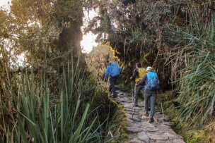 Three hikers with backpacks and walking poles ascend a rocky trail through dense vegetation on a sunny day, their footsteps echoing the ancient paths of the Incas, making each step a vibrant chapter in their travel adventure.