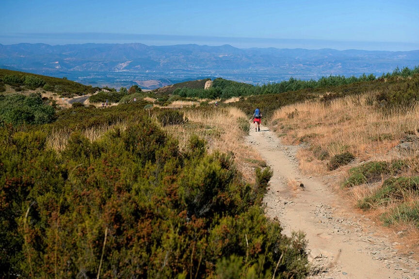 A lone hiker with a backpack, whispering "Buen Camino" to themselves, walks along a dirt trail through a grassy landscape with distant mountains under a clear blue sky.