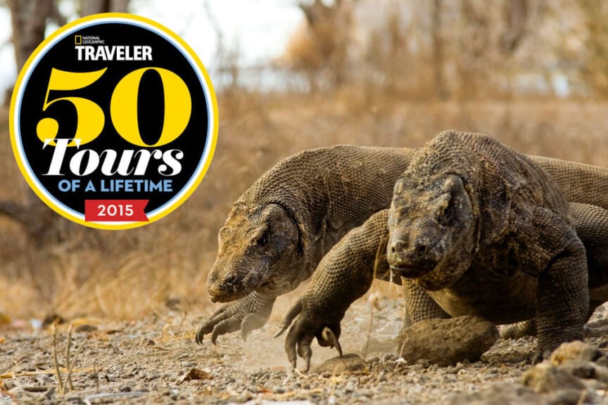Two Komodo dragons walking on rocky terrain in a dry landscape. The image, reminiscent of an adventurous expedition, features a "National Geographic Traveler, 50 Tours of a Lifetime 2015" badge in the top left corner.