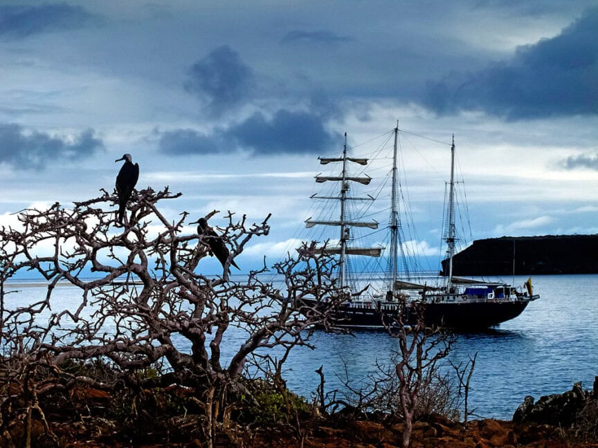 A sailing ship with multiple masts is anchored near a rocky shoreline with leafless trees; birds perch on the branches under a cloudy sky, creating a scene that speaks a thousand words.