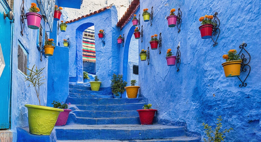 A narrow alley with blue walls, adorned with colorful flower pots, invites exploration. The stairway leads upward through arches, with plants in pots placed on steps and mounted on the walls. This vibrant and picturesque scene epitomizes the charm found in colorful cities of world travel.