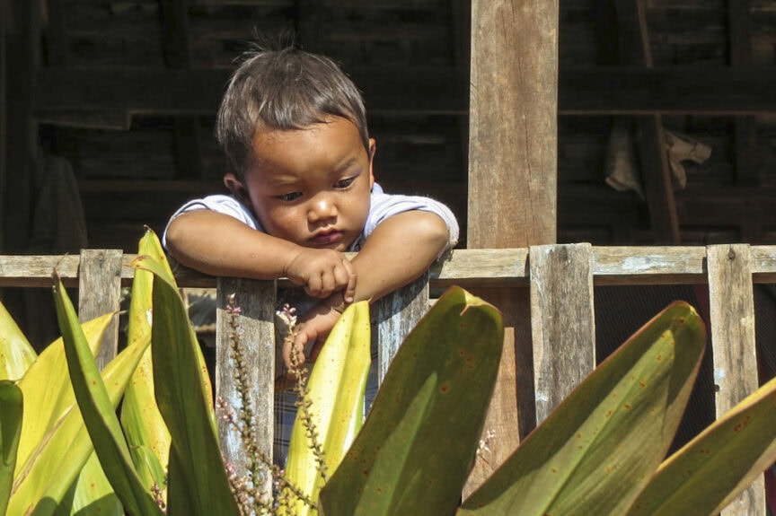 A young child leans on a wooden fence, looking down thoughtfully, surrounded by the majesty of large green leaves in the foreground.