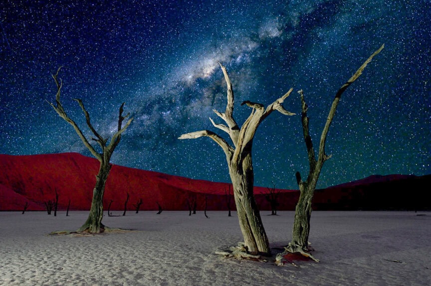 Three leafless trees stand in a desert under a star-filled night sky, making it one of the best places for stargazing with the Milky Way galaxy visible above.