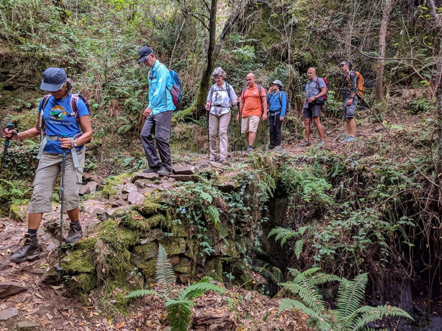 A group of hikers wearing backpacks and outdoor clothing navigate a rocky trail through a dense forest in Portugal, with some crossing a stone bridge.