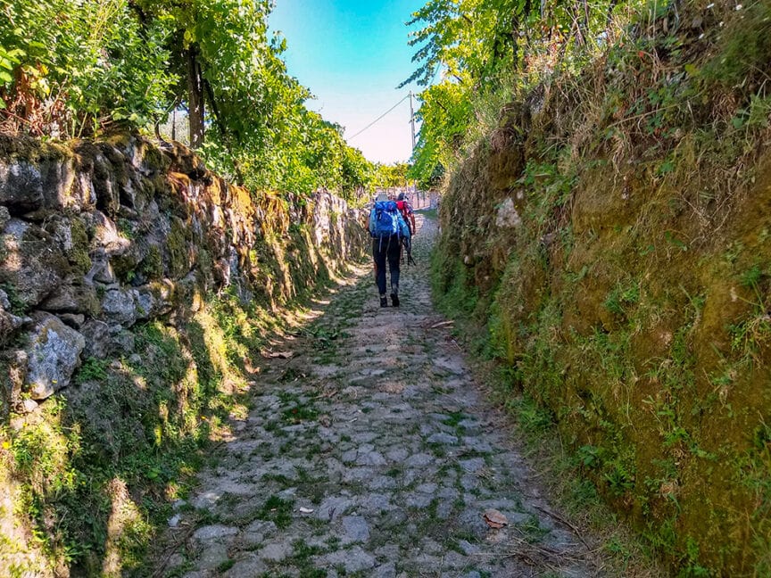 A person with a backpack walks along a cobblestone path, flanked by stone walls and lush greenery under a clear blue sky in Portugal, perhaps enjoying a break from hiking to savor some local Port Wine.