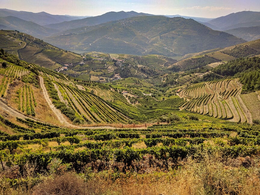 A vast landscape of vineyards covering rolling hills and valleys, perfect for hiking enthusiasts, with a mountain range in the background under a clear sky. Experience the charm of Portugal while savoring the region’s famous Port Wine.