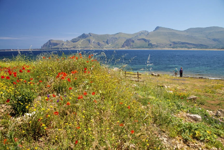 A scenic coastal landscape in Sicily with wildflowers in the foreground, a calm blue sea, and mountains in the background. Two people are standing by the water's edge, spotlighting the serene beauty of nature.