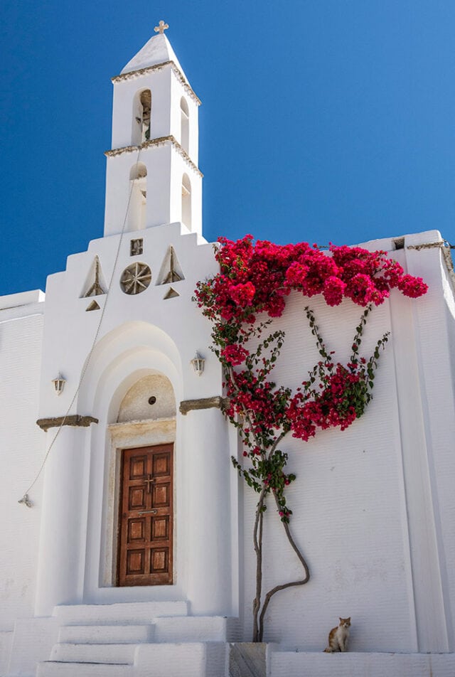 White church with a wooden door and bell tower, adorned with vibrant bougainvillea flowers on the side, under a clear blue sky. A cat sits near the steps of this off-the-trails gem in Greece.