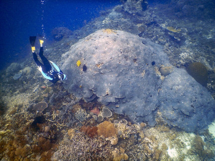 A scuba diver explores near a large, rocky coral formation on the ocean floor in Raja Ampat, surrounded by various smaller corals and vibrant marine life.