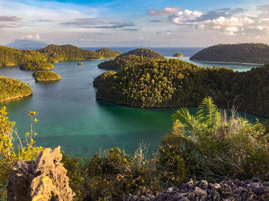 A scenic view of several small, forest-covered islands surrounded by clear blue water's surface under a partly cloudy sky, seen from a higher vantage point. Lush vegetation is in the foreground.