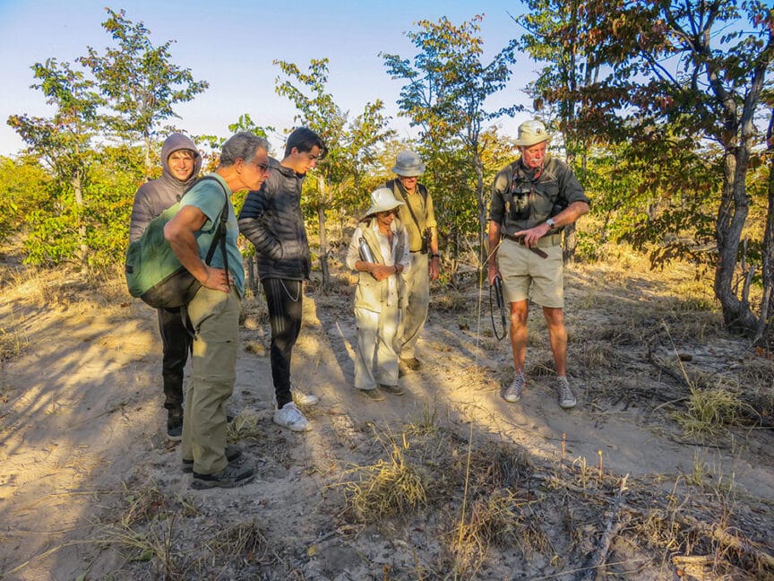 A group of people stands together in a wooded area, with one person pointing at something on the ground while others observe attentively. They wear outdoor clothing and the sun is shining brightly, reminiscent of their recent adventures witnessing the Great Elephant Migration in Botswana.