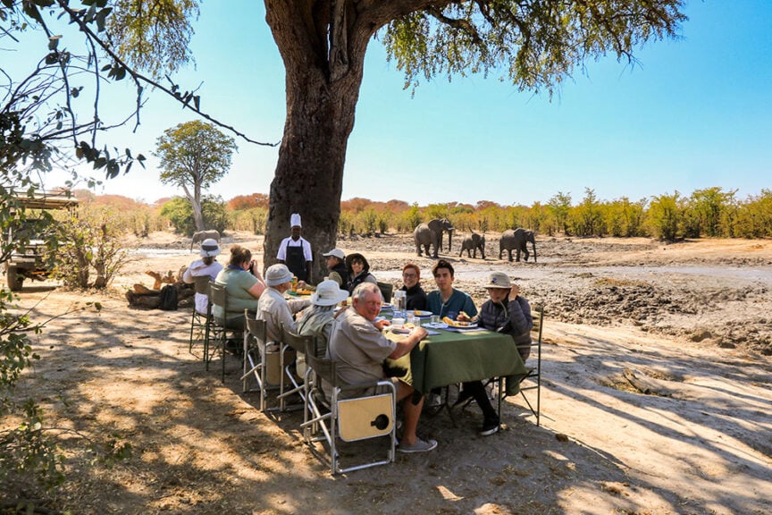 A group of people are sitting at a table outdoors under a tree in Botswana, enjoying a meal. A chef stands beside them. In the background, elephants from the Great Elephant Migration are walking near a waterhole.