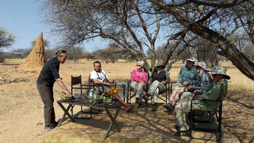 A group of people sits on chairs outdoors in a dry, wooded area, reminiscent of the Kings of Africa. One person stands pouring a drink at a table with various beverages and fruit. In the background, there's a large termite mound adding to the scene's natural beauty.
