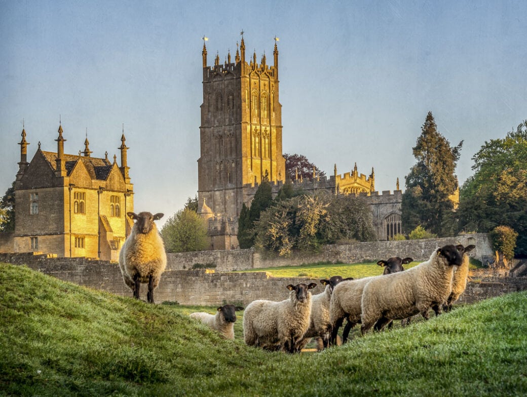 A group of sheep stands on a grassy hill in front of a historic church and buildings during daylight, reminiscent of scenes you'd encounter while hiking the Cotswold Way.