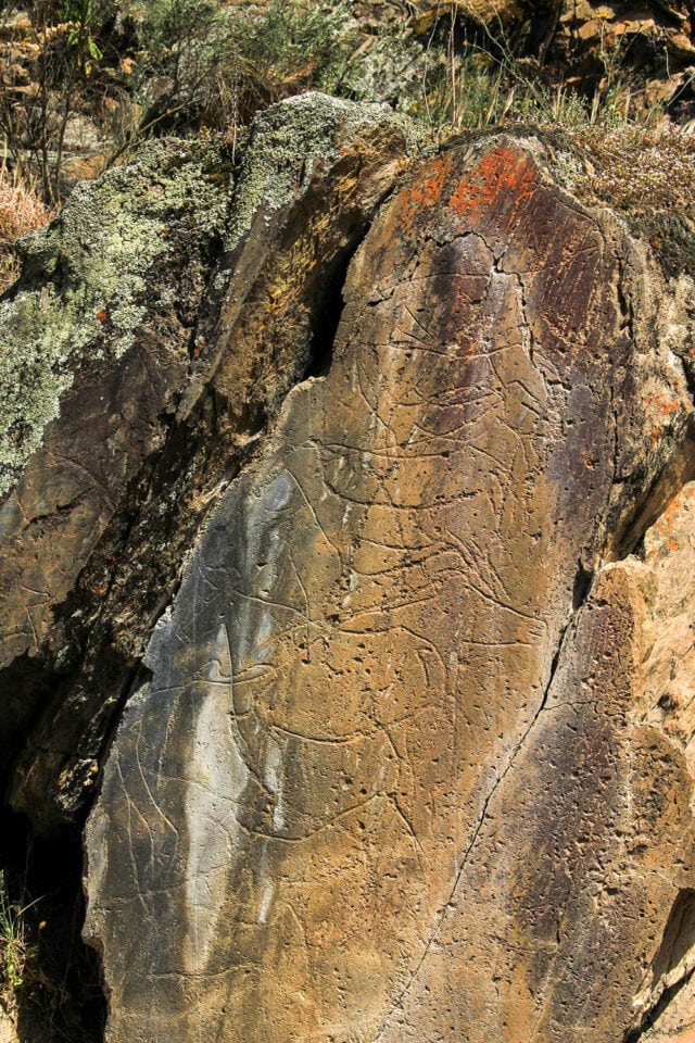 A large rock face with ancient petroglyphs etched into its surface, nestled in rural Portugal, surrounded by vegetation and patches of lichen. The simple pleasures of nature unfold here in timeless beauty.