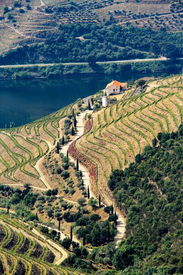 Aerial view of a terraced vineyard landscape in rural Portugal with a winding dirt road leading to a white house with an orange roof, surrounded by greenery and situated by a river. Simple pleasures await in this serene setting.