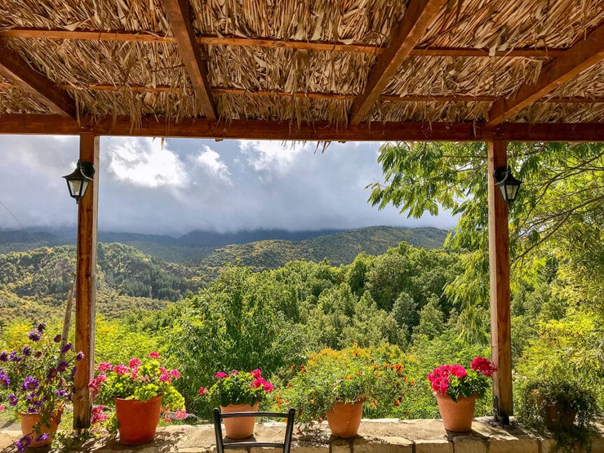 A patio with a thatched roof overlooks a lush, green forested landscape with mountains in the background. Potted flowers line the edge of the patio, evoking the serene charm of exploring Greece beyond Athens.