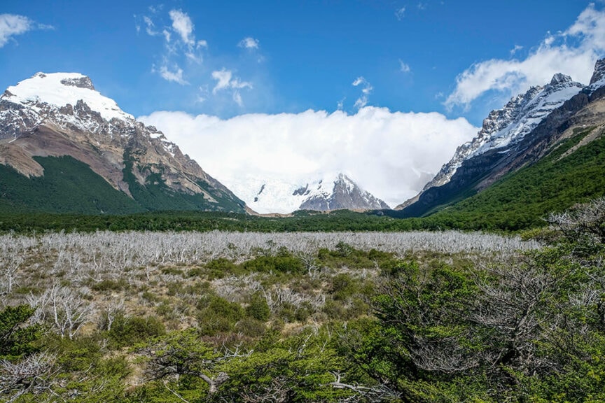 Snow-capped mountains under a blue sky tower over a green valley with patches of white, bare trees in the foreground, making Patagonia the perfect travel destination for an unforgettable hike.