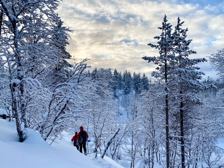 Two people dressed in winter gear embark on an adventure through a snowy forest trail in Northern Finland, with snow-covered trees and a cloudy sky in the background.