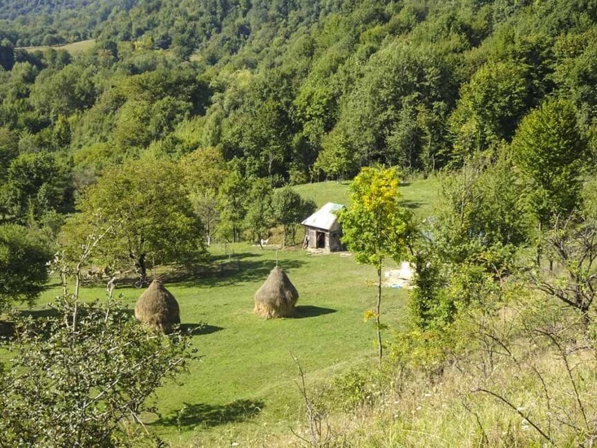 Nestled in the tranquil Carpathian Traverse, a small wooden cabin and two haystacks rest on a grassy expanse, embraced by the dense green forest—a perfect setting for anyone in search of their roots.
