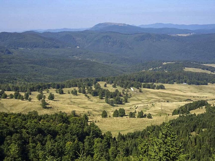 Aerial view of the vast landscape along the Great Carpathian Traverse, with rolling hills, scattered trees, and a mix of forested and open grassy areas under a clear sky.